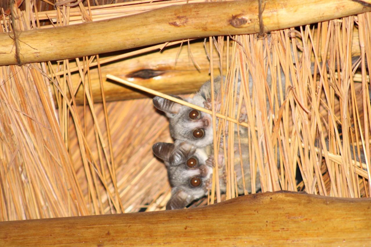 הודספרויט Thuhlo Lodge מראה חיצוני תמונה